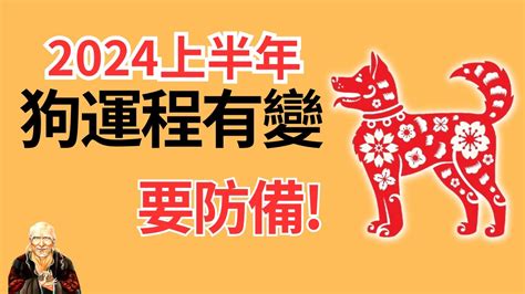 1982年屬狗 運勢|属狗1982年出生的人2024年全年运程运势